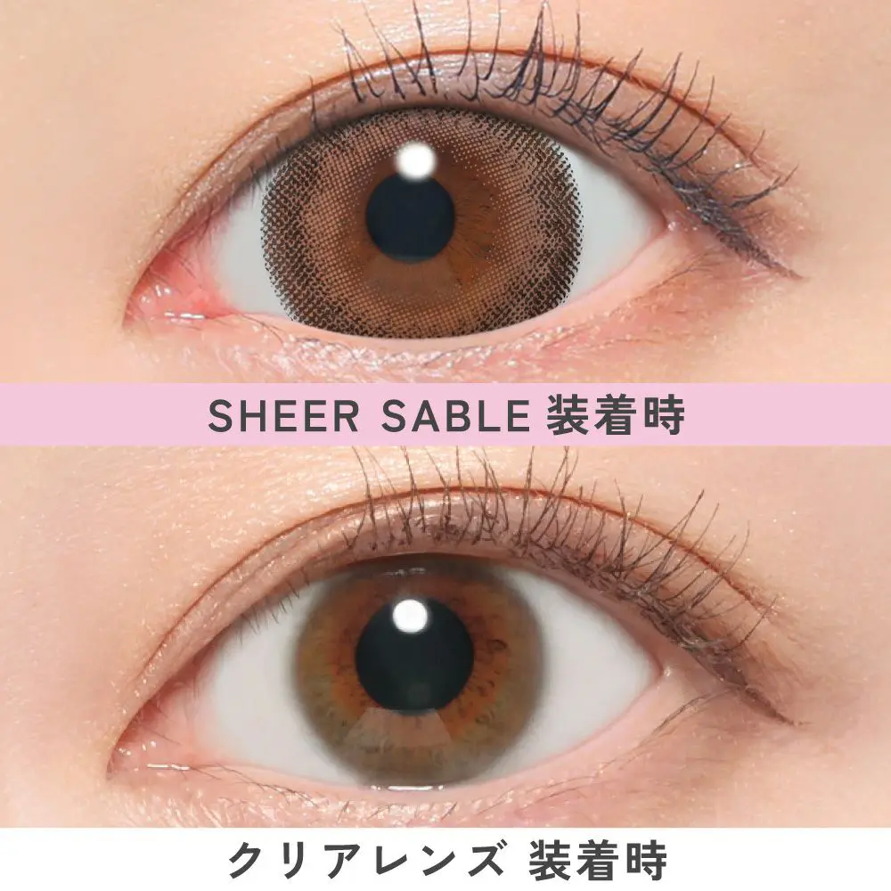 シアーセーブル比較画像